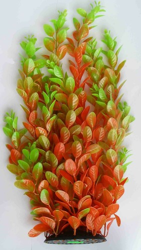 Pianta finta piantina - pianta,