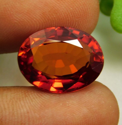 Spinello arancio naturale - spinello,