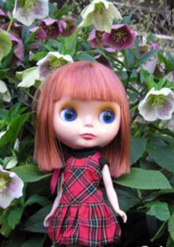 2002 nrfb blythe takara - nrfb,