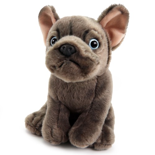 Premium bulldog francese - bulldog,