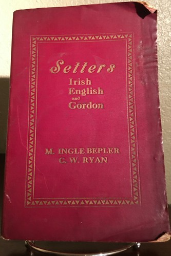 Setters irish english - irish,,