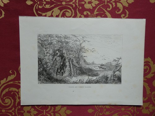 Caccia colombacci chasse - caccia, ai