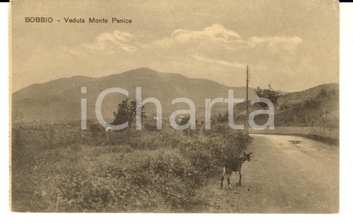 1915 bobbio veduta - 1915, (pc)