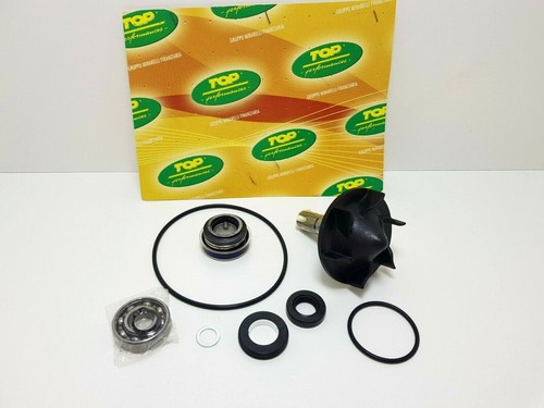 Aa00831 kit revisione pompa - aa00831,