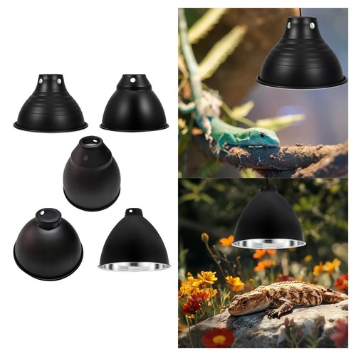 Copertura per lampada - lampada,