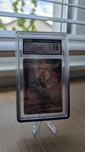 Charizard paf 234 - paf,