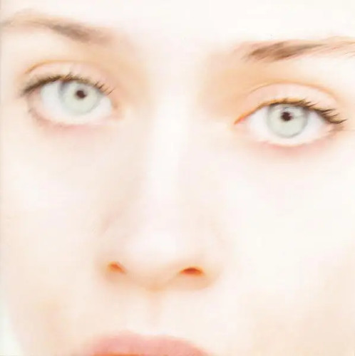 Fiona apple tidal rock work - rock,