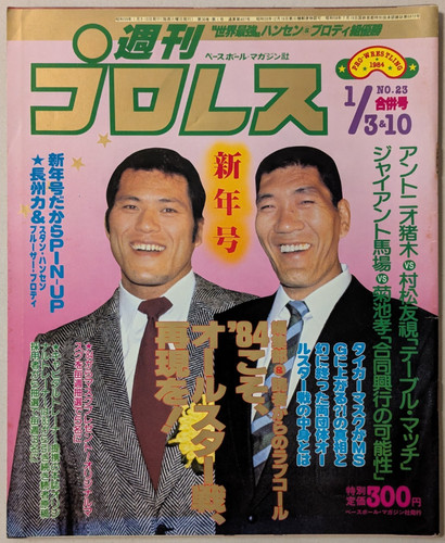 Weekly pro wrestling - weekly,