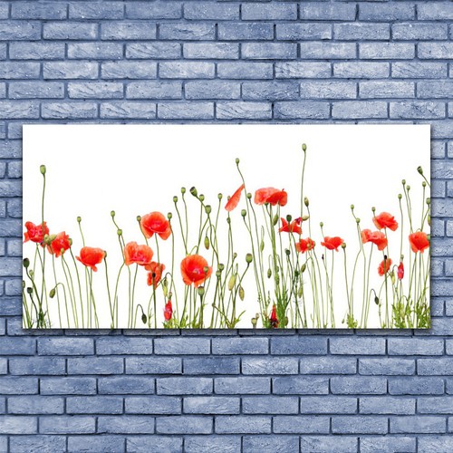 Quadri vetro quadro - quadro, da