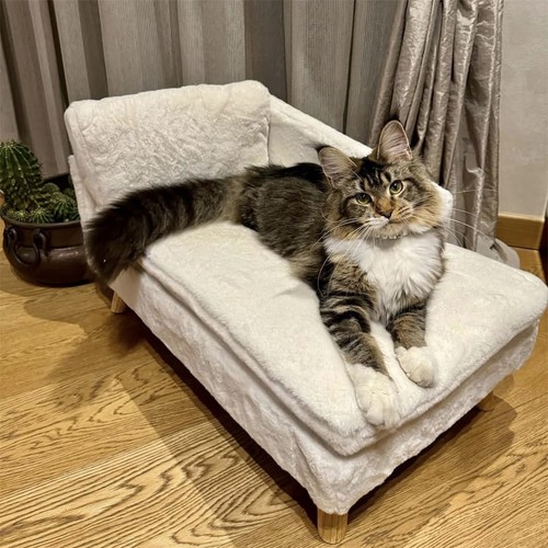 Divano per animali domestici