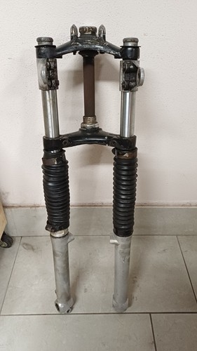 Forcella augusta benelli - mv,