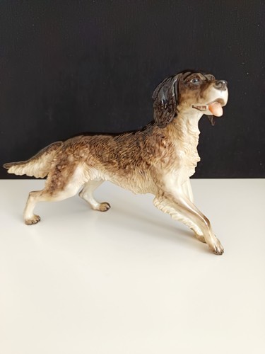 Rosenthal cane caccia in - rosenthal,