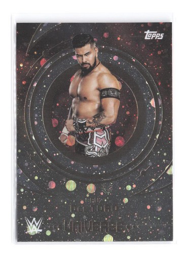 2025 topps wwe universe - 2025,
