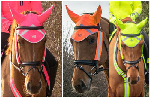 Equestrian riflettore - hy,