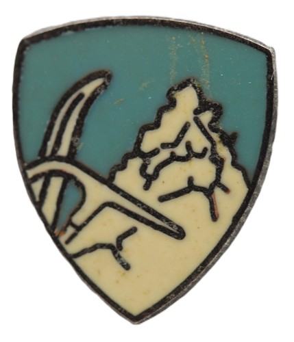 Distintivo spilla centro - spilla,