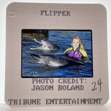 Flipper diapositiva 35mm anni