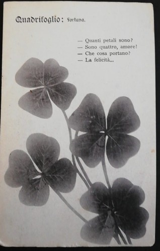 Cartolina postale fiori - cartolina,