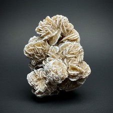 Selenite Rosa del Deserto