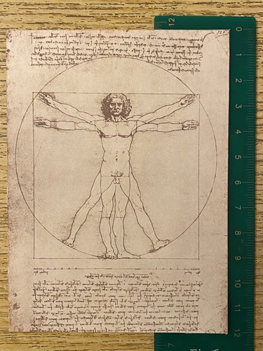 Postcard leonardo study - postcard:,
