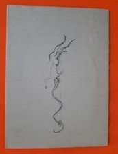 Fulvio Salvadori Luciano