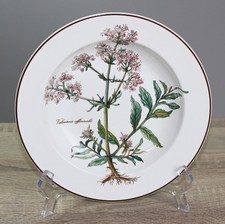 Piatto zuppiera Villeroy & Boch V&B Botanica CON radici Ø circa 22 cm TOP