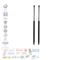 COPPIA 2 MOLLA A GAS COFANO