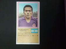 Album Panini Calciatori