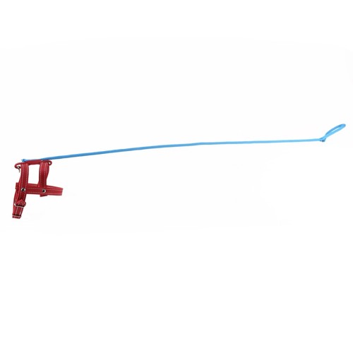 Novità invisibile cane - invisibile,