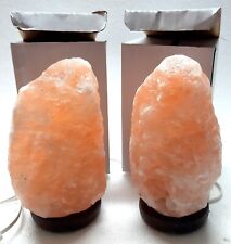 2 lampade di sale rosa 1-2 kg dell'Himalaya salgemma con certificato di garanzia