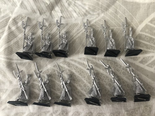 High elves phoenix guards - high,