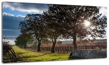 Quadro moderno Paesaggio Vigna Alberi Natura Relax Arredo Casa Arte Stampa Tela2