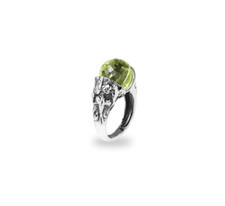 Anello stagioni primavera con - anello,