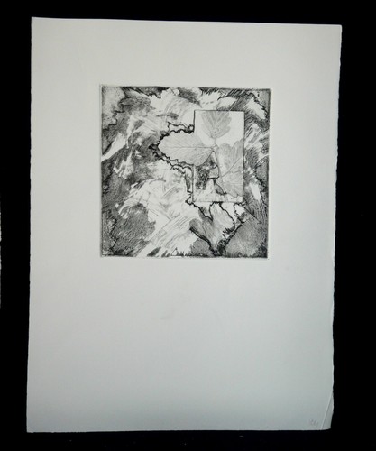 Quadro disegno calcografico - disegno,