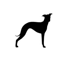 Italiano Cane Levriero Spilla Distintivo Sciarpa Chiusura IN Nero con Regalo Bag