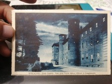 198d Cartolina FP Moncalieri reale Castello