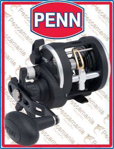 Penn rival level wind - penn, 30