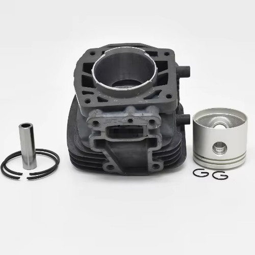 Kit pistone cilindro - ,