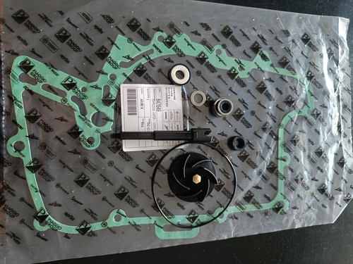 Kit revisione pompa acqua - revisione, +