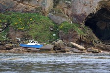 Photo 6x4 Calypso on the rocks