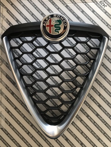 Scudo griglia anteriore - scudo,