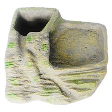  Accessori Rettili Per