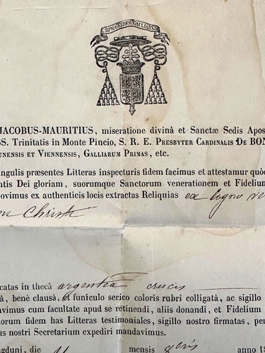 Rara autentica certificato - rara,