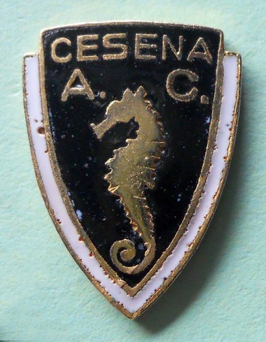 Distintivo spilla pin badge - pin,