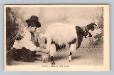 Malta- Maltese Goat Milk