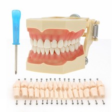 Frasaco AG3 Tipo Dentale