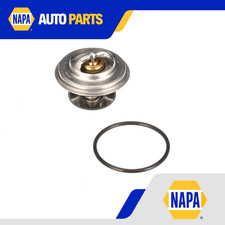 Termostato liquido di