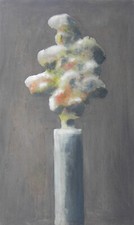 Piero BOLLA (Saluzzo