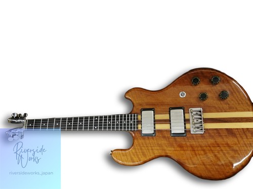 Chitarra elettrica kramer 450g - kramer,
