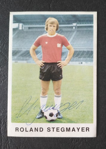 13993 roland stegmayer - 13993,