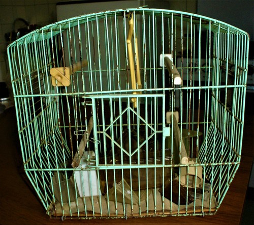 Gabbia uccelli vintage - gabbia,